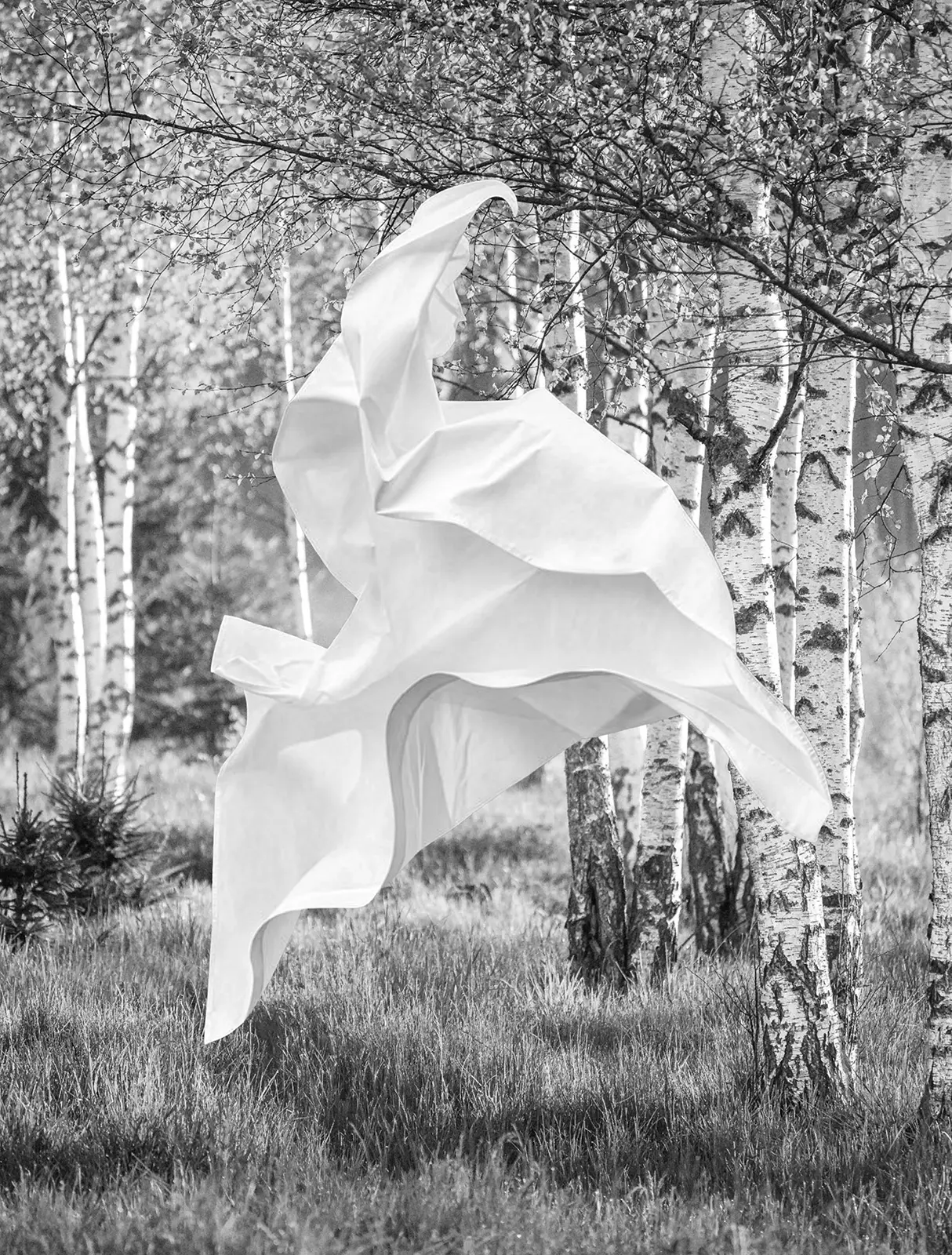 Beltrami’s white fabric, evoking the birch forests of Northern Europe where the fiber originates