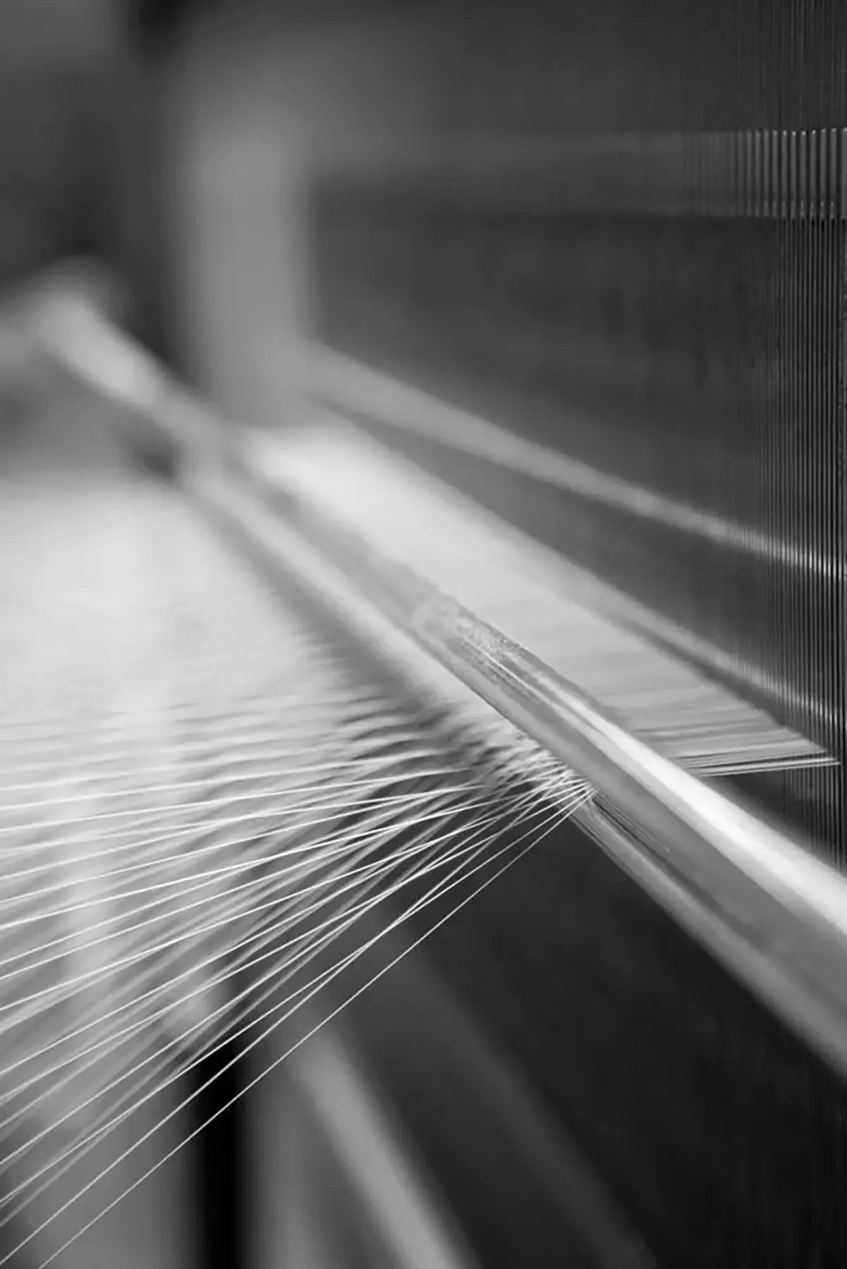 Warp threads on the loom, the work behind the ease